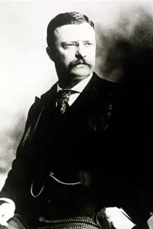 Roosevelt Prints: THEODORE ROOSEVELT. Courtesy: CSU Archives / Everett Collection