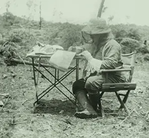 Explorers Prints: Theodore Roosevelt did his writing in a head net and gloves