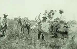 Explorers Prints: Theodore Roosevelt and others of the Roosevelt-Rondon Expedition, Jan.-Feb. 1913