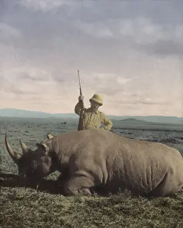 Big Game Prints: Theodore Roosevelt triumphant after killing a big bull rhino in Africa in 1909
