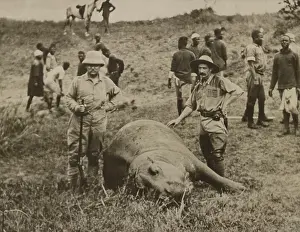 Shot Prints: Theodore Roosevelt and unidentified man standing over a killed hippopotamus