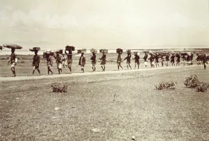 Safari Prints: Theodore Roosevelt's 1910 African safari on the march