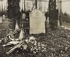 Explorer Prints: Theodore Roosevelt's grave