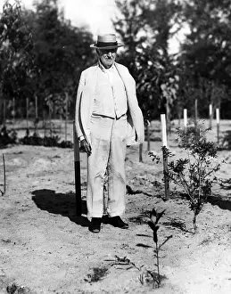 Garden Prints: Thomas Edison experimenting with his rubber plant garden at his winter home in Fort Meyers