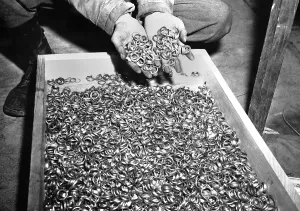 Genocide Prints: Thousands of gold wedding rings removed from victims of the Nazi German concentration camps