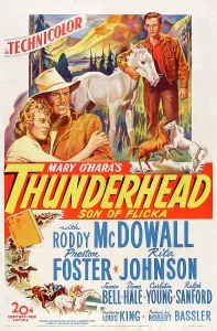 Images Dated 2nd May 2014: THUNDERHEAD, SON OF FLICKA, US poster art