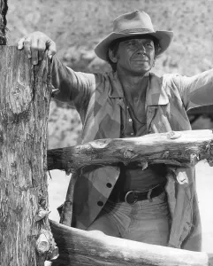 Films By Sergio Leone Prints: ONCE UPON A TIME IN THE WEST, Charles Bronson, 1968 ouatitw1968-fsct34(ouatitw1968-fsct34)