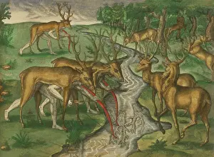 16th Century Prints: Timucuan Indian hunters of Florida
