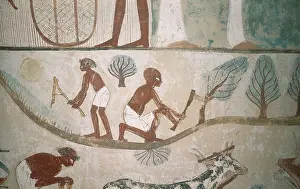 Qina Prints: Tomb of Menna. EGYPT. Dayr al-Bahri