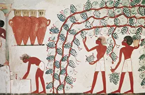 Feeding Prints: Tomb of Nakht. EGYPT. Dayr al-Bahri