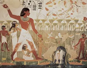 Pleasure Prints: Tomb of Nakht. EGYPT. Dayr al-Bahri