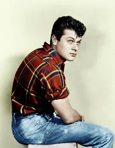 Plaid Shirt Prints: Tony Curtis, ca. 1950s