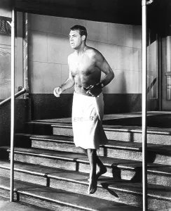 Undressed Prints: THAT TOUCH OF MINK, Cary Grant, 1962