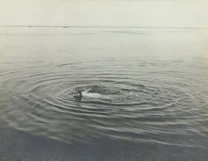 Floating Prints: Toulouse-Lautrec Swimming in the Bassin d'Arcachon
