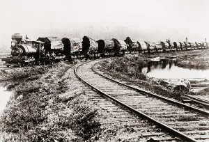 Logs Prints: Train of huge redwood logs of the Excelsior Redwood Company of Eureka