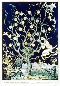 Images Dated 14th May 2008: The Tree of Death - The Sinner
