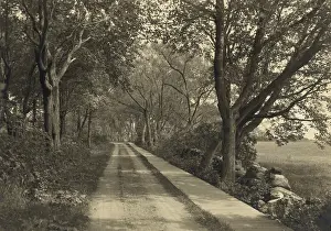 Boardwalk Prints: Tree-lined wooden sidewalk and Church Road at Rye Beach