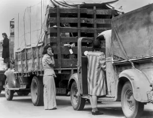 Trucks Prints: Trucks removing Japanese American and their luggage from Redondo Beach