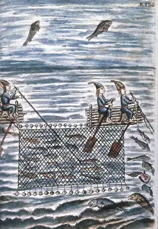 Fishing Prints: Trujillo del Per (end 18th c.): drawings and watercolours made by order of the bishop D