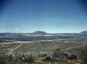 Ww Ii Prints: Tule Lake Relocation Center, at Newell
