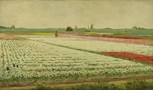Peasants Prints: Tulpenvelden (Tulip Field), by Gerrit Willem Dijsselhof