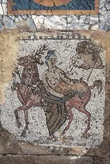 Crome Prints: TUNISIA. Carthage. House of Horses