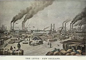 Shop Prints: United States (1883). New Orleans
