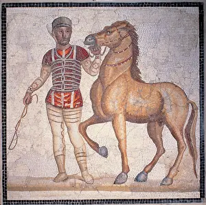 Lazio Prints: Unknown artist, Auriga of the Circus