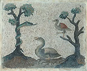 Lazio Prints: Unknown artist, Emblemata with water-fowls