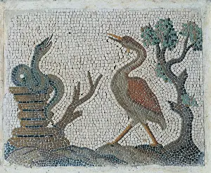 Lazio Prints: Unknown artist, Emblemata with water-fowls