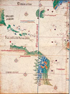 Emilia Romagna Prints: Unknown artist, South America and the Coastline of Brazil with some parrots