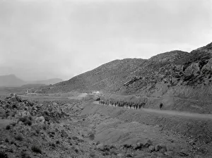 Tunisia Prints: U.S. Infantry returning to the Kasserine Pass on Feb