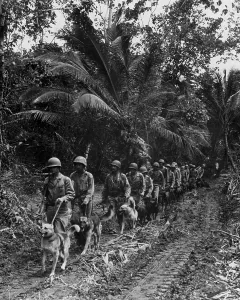 Bougainville Prints: U.S. Marine Raiders and their dogs, heading for the front lines on Bougainville