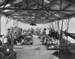 Sick Prints: U.S. Marines in a hospital on Guadalcanal with wounds and malaria in Oct