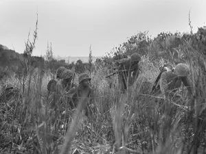 U.S. Marines patrol on Saipan advances through a grassy ravine. They follow Japanese communication lines in an effort to locate enemy positions