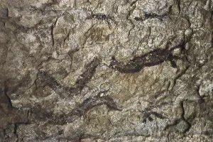 Neolithic Prints: Vall de Gallinera. Gully of Benial