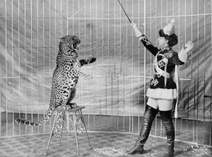 Leopard Prints: Vallecita's leopards. Female animal trainer and leopard, 1900-1910