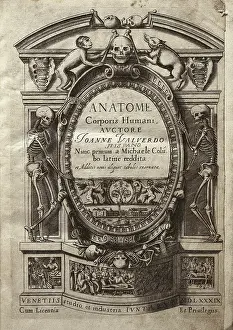 Healthiness Prints: VALVERDE DE AMUSCO, Juan (1525-1588)