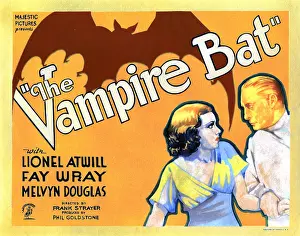 Horror Movies Prints: THE VAMPIRE BAT, from left, Fay Wray, Lionel Atwill, 1933
