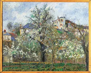 Orchard Prints: Vegetable Garden and Trees in Blossom