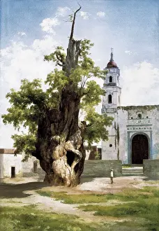 United Mexican States Prints: VELASCO, Jos Mara (1840-1912). The Sabine Tree of Popotla (Tree of the Sad Night)