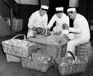 World Series Prints: Vendors filling peanut bags at the World Series in Yankee Stadium