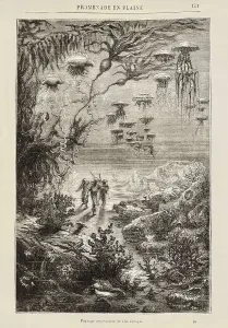 Parisians Prints: VERNE, Jules (1828-1905). Illustration of '20000 Leagues Under the Sea' (1870)