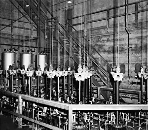 Physics Prints: The vertical safety rods