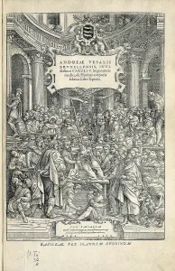 Groot Brussel Prints: Vesalius, Andreas (1514-1564). 'De Humanis Corporis Fabrica'