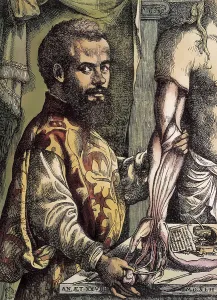 Groot Brussel Prints: Vesalius, Andreas (1514-1564). De Humanis Corporis Fabrica