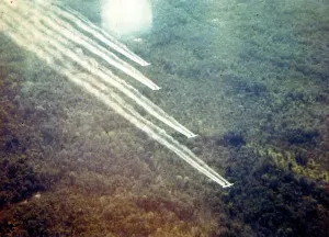 Jungle Warfare Prints: Vietnam War. From 1962 until 1971