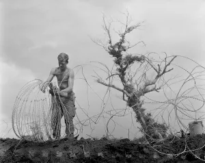 Barbed Wire Prints: Vietnam War. A US Army infantryman takes down barbed tape surrounding the command post of Operation Utah Mesa