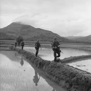 Republic Of Vietnam Prints: Vietnam War. US Marines move along rice paddy dikes in pursuit of the Viet Cong