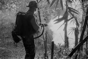 Republic Of Vietnam Prints: Vietnam War. US Soldier clears a jungle area with his flame thrower. May 22, 1970